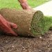 Caring for New Sod Lawns
