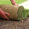 Caring For New Sod Lawns